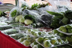 Feira Rural Quitanda CPS será reaberta nesta quarta (26)