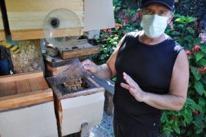 Jardim de mel, uma alternativa econômica e ambiental
