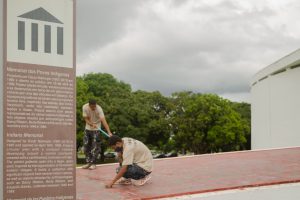 Cultura teve um ano histórico no DF