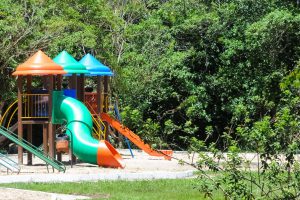 Governo lança pacote de obras nos parques ecológicos