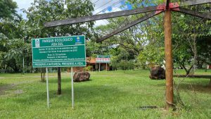 Programa do GDF marca presença no Parque da Asa Sul