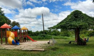 Programa Reviva Parques dá início a melhorias no Parque da Asa Sul