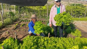 Agricultura Familiar Quilombola: Paraíba realiza incidência política a partir de dados