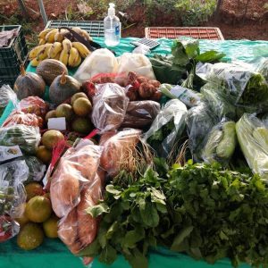 Feira Rural de Multiprodutos do Barreiros é retomada nesta 6ª (11)