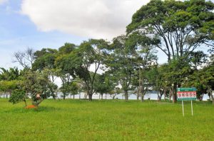 Projeto de recuperação ambiental do Lago Norte será lançado nesta sexta