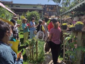 Produtores aprendem a criar pequenos jardins ou agroflorestas produtivas
