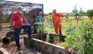 Insumos incentivam a produção de hortas agroecológicas urbanas