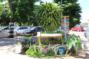 Jardim e cores embelezam o ambiente de trabalho no Hmib