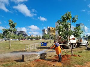 Renovação e embelezamento para os 62 anos de Brasília