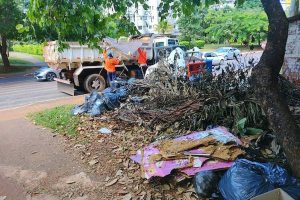 Ação recolhe 60 toneladas de lixo verde nas asas Sul e Norte e no Guará