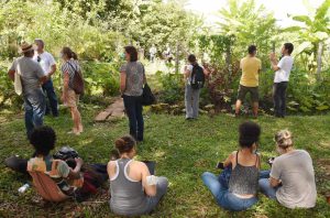 Hortos unem saúde e meio ambiente em prol da população