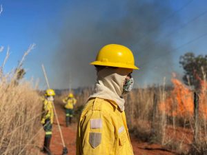 DF participa da COP 30 como referência nacional em sustentabilidade e proteção ao Cerrado