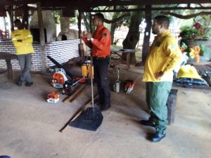 Governo e comunidade se unem para combater incêndios florestais
