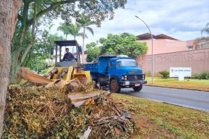 Recolhidas 75 toneladas de entulho e lixo verde das ruas