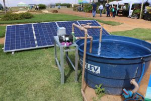 Saiba mais sobre compostagem e benefícios da energia solar
