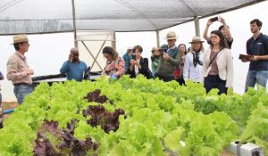 AgroBrasília movimentou R$ 4,6 bilhões em negócios
