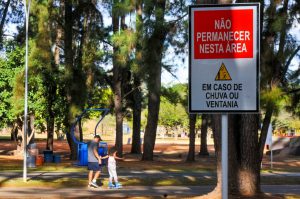 Novas placas e podas de árvore reforçam segurança no Parque da Cidade