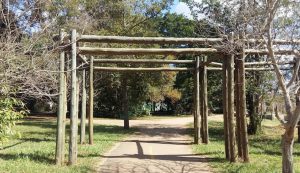 Aprovado plano de manejo do Parque Distrital de São Sebastião