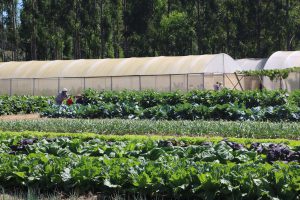 Feira apresenta inovações para o setor agropecuário