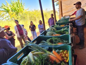 Agricultores capacitados sobre práticas sustentáveis e venda de alimentos
