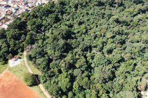 São Sebastião vai ganhar novo campo sintético no Parque do Bosque