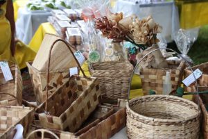 Feira no Parque da Cidade tem edição dedicada às mães
