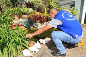 DF multiplica as inspeções domiciliares para eliminar a dengue