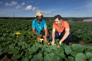 Emater-DF prorroga inscrições para projeto Conexões e Experiências