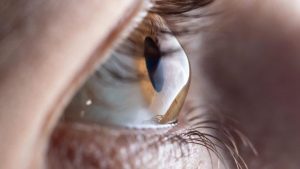 Junho Violeta: coçar os olhos em excesso pode levar à cegueira