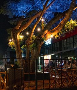 Fora do Eixo oferece programação musical para o feriadão prolongado