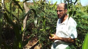 Mais de 5 mil agricultores do DF têm práticas ambientalmente sustentáveis