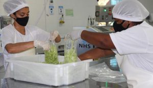 Produção agroindustrial do DF é tema de encontro nos dias 8 a 10 de junho, na Embrapa