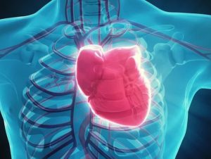 Cardiologistas no DF promovem debate sobre novas técnicas da crioablação de arritmia
