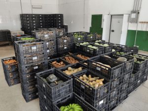 Governo investe R$ 1 milhão na compra de produtos da agricultora familiar