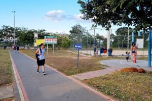Parque ecológico no Guará tem de trilha rústica a pista de caminhada