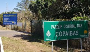 Caminhada no Parque das Copaíbas entre as atividades em comemoração ao Dia Mundial do Meio Ambiente
