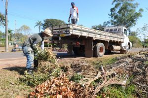 GDF Presente faz podas de árvores e roçagem no Park Way