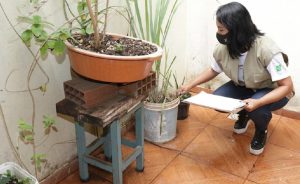 Vistorias em residências são essenciais para o combate da dengue no Distrito Federal