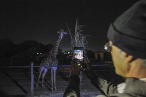 Brasilienses se divertem na primeira visita do projeto Zoo Noturno
