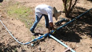 Irrigação com aproveitamento da gravidade traz economia a produtor rural