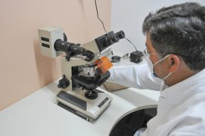 Combate ao vírus da raiva está reforçado nas 33 regiões administrativas