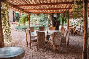 Chef do 7° melhor restaurante do mundo prepara jantar exclusivo na Chapada dos Veadeiros