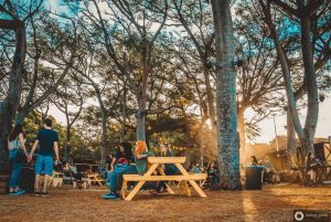 CoMA: Medidas para preservar o meio ambiente são prioridades do festival