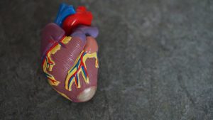 Infarto em jovens: entenda causas e por que é mais mortal que nos mais velhos