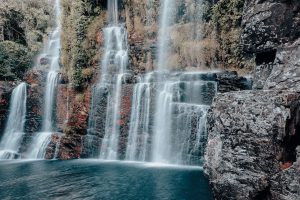 Festival da Baleia apresenta exposição de arte na Chapada dos Veadeiros