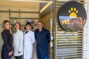 Em celebração ao Dia do Veterinário, Capital Federal ganha o 1º Coworking Vet