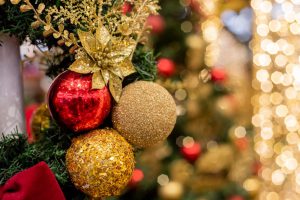 Pátio Brasil traz decoração com árvore de 23 metros, Papai Noel e trono para fotografar os pets no Natal deste ano