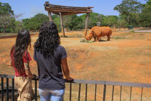 Técnica de enriquecimento ambiental melhora a saúde de animais no Zoo