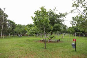 Sudoeste recebe Caravana de Proteção Animal neste sábado (15)