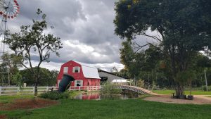Réveillon na Small Farm